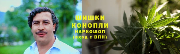 соль ск Алексин