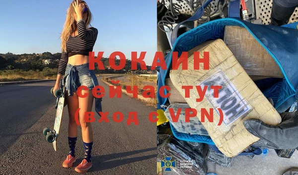 прущие грибы Абаза